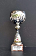 2007 Kupalar