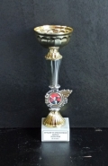 kupalar_2011_12