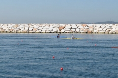 turkiye_sampiyonasi_agustos_2015_115