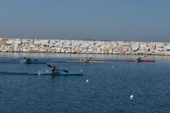 turkiye_sampiyonasi_agustos_2015_118