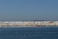 turkiye_sampiyonasi_agustos_2015_120