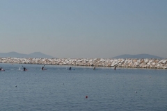 turkiye_sampiyonasi_agustos_2015_122