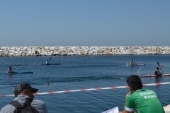 turkiye_sampiyonasi_agustos_2015_175