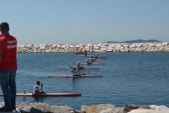turkiye_sampiyonasi_agustos_2015_18