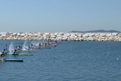 turkiye_sampiyonasi_agustos_2015_183