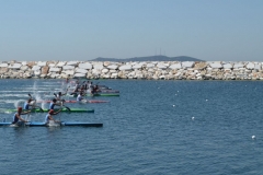 turkiye_sampiyonasi_agustos_2015_186